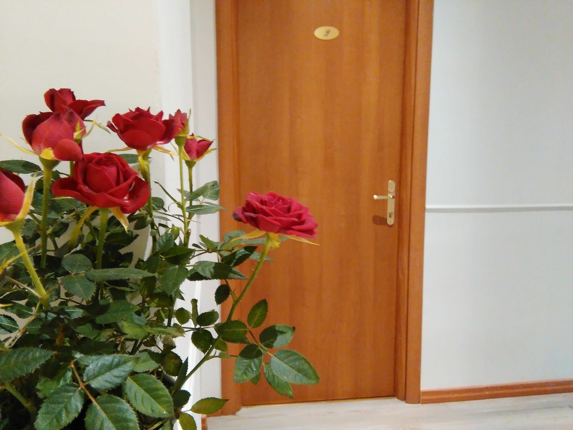 Villa Borghese Guest House 로마 외부 사진
